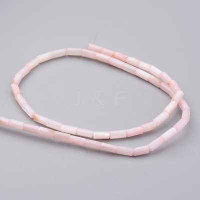 Natural Shell Bead Strands BSHE-P016-02-1