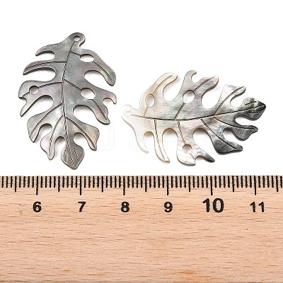 Natural Black Lip Shell Pendants SHEL-R100-07A-1-1