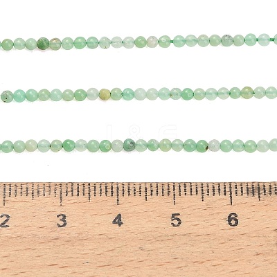 Natural Chrysoprase Beads Strands G-A322-A01-2mm-1