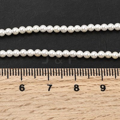 Electroplated Shell Pearl Beads Strands BSHE-K017-2.5mm-1