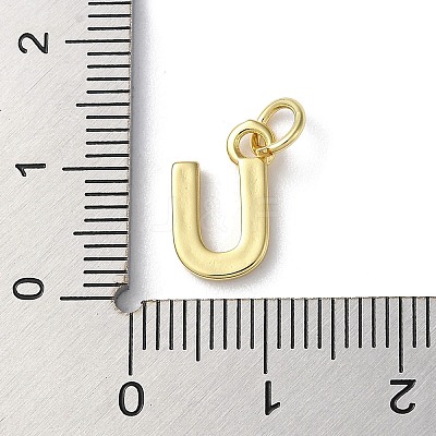 Rack Plating Brass Charms KK-P245-06G-U-1