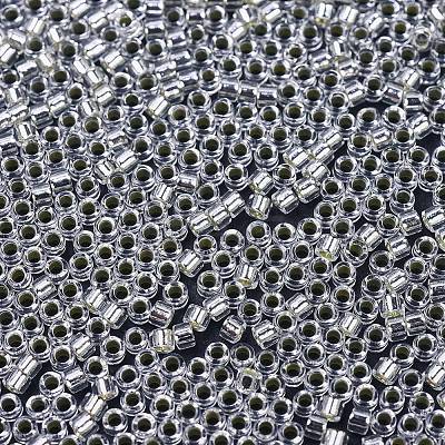 MIYUKI Delica Beads X-SEED-J020-DB0041-1