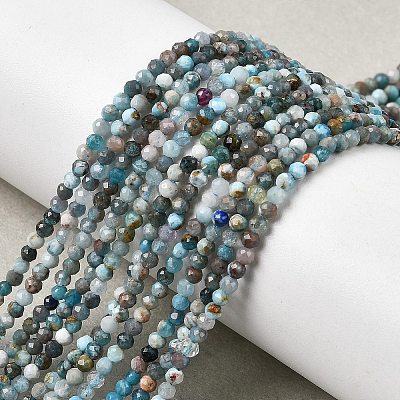 Natural Apatite Beads Strands G-K366-C05-2mm-1