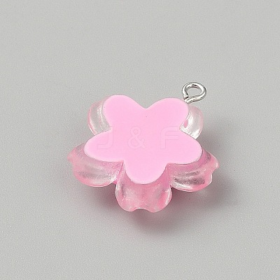 Transparent Resin Pendants RESI-TAC0002-84A-1