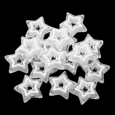 Acrylic Beads SACR-G033-02E-1
