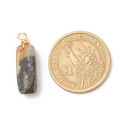 Natural Indian Agate Pendants PALLOY-JF01582-04-1