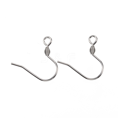 Tarnish Resistant 304 Stainless Steel Earring Hooks X-STAS-D448-038P-1