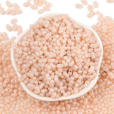 Baking Paint Glass Seed Beads SEED-L011-09A-11-1