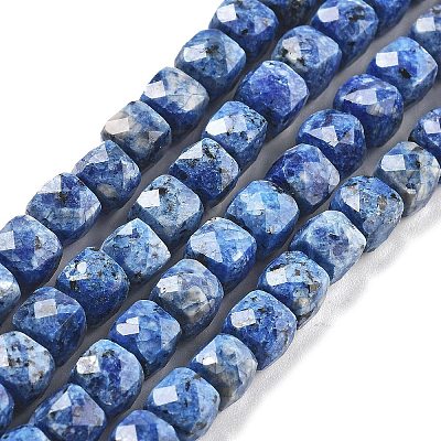Dyed Natural Sesame Jasper Beads Strands G-C179-B02-01-1