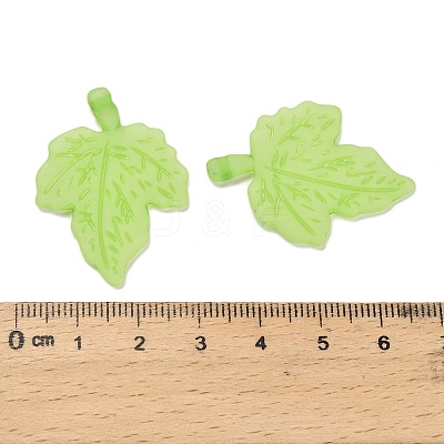 Frosted Acrylic Pendants FACR-G006-01C-1
