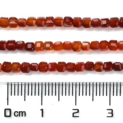 Natural Carnelian Beads Strands G-Q002-C01-02-1