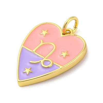 Brass Enamel Pendants KK-Z077-01G-10-1