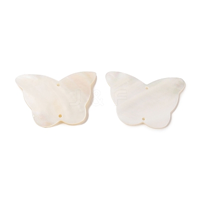 Natural Shell Connector Charms BSHE-H018-12-1