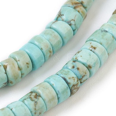 Natural Howlite Beads Strands X-G-P398-B01-1