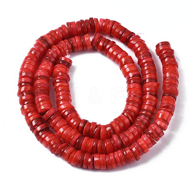 Natural Freshwater Shell Beads Strands SHEL-S278-025G-1