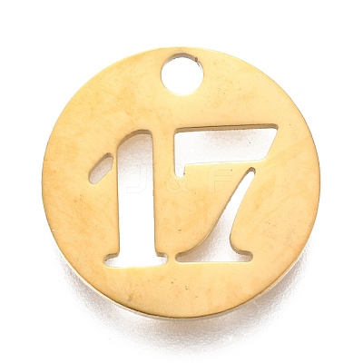 304 Stainless Steel Pendants X-STAS-F233-17-G-1