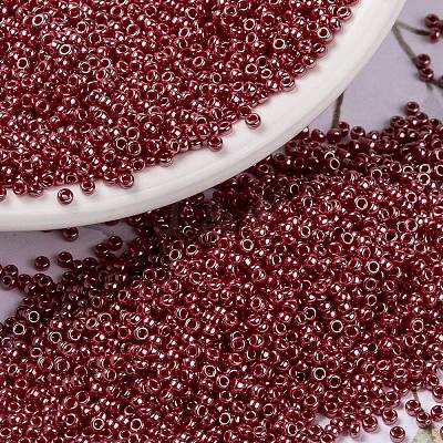MIYUKI Round Rocailles Beads X-SEED-G009-RR0425-1