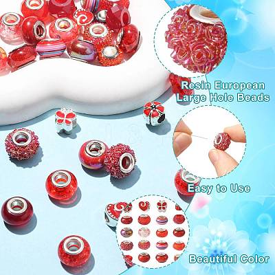 40Pcs 20 Styles Resin & Glass European Beads RPDL-FS0001-03-1