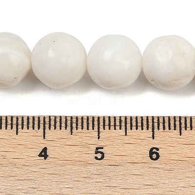 Natural White Shell Beads Strands BSHE-U002-01-1