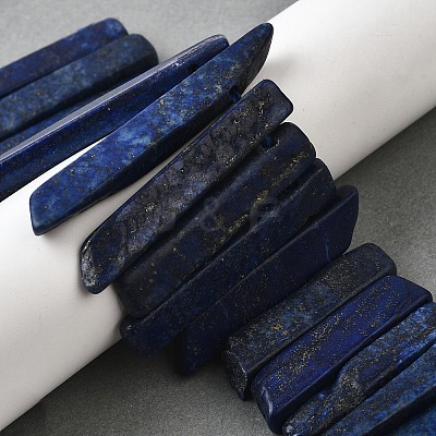 Natural Lapis Lazuli Beads Strands G-S386-D13-1