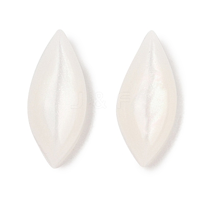 Opaque Resin Decoden Cabochons CRES-I036-14A-1
