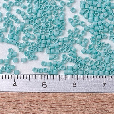 MIYUKI Delica Beads Small X-SEED-J020-DBS0878-1