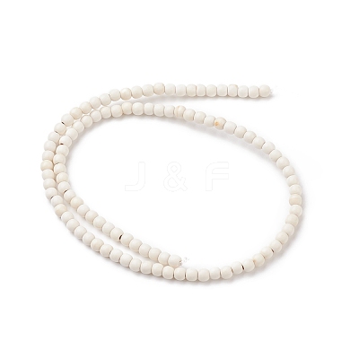 Synthetic Turquoise Beads Strands TURQ-G106-4mm-02Q-1