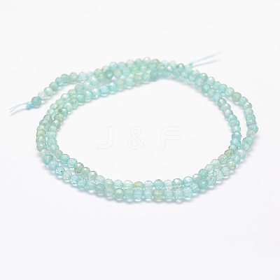 Natural Apatite Beads Strands G-F460-41-1