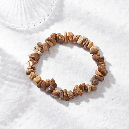 Natural Picture Jasper Beads Stretch Bracelets for Men Women BJEW-JB11845-1