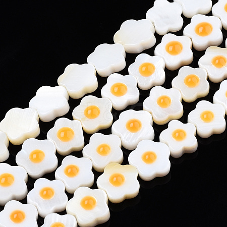 Natural Freshwater Shell Beads Strands SHEL-N003-31B-01-1