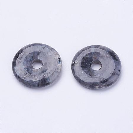 Natural Larvikite Pendants G-F524-B01-1