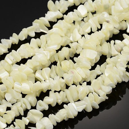 Natural Shell Beads Strands SHZ001-1