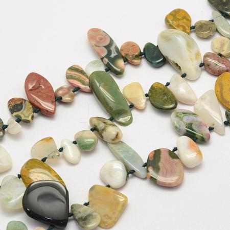 Natural Ocean Agate/Ocean Jasper Beads Strands G-L464-13-1