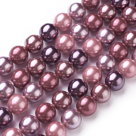 Electroplate Shell Pearl Beads Strands X-BSHE-O019-03G-1