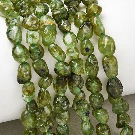 Natural Peridot Beads Strands G-P601-A01-01-1
