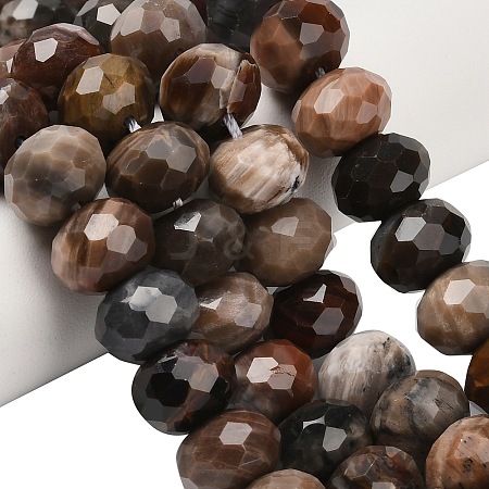 Natural Petrified Wood Beads Strands G-C259-A06-8x12mm-01-1