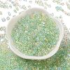 AB Color Plated Glass Seed Beads SEED-L011-06B-07-2