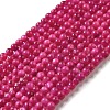 Natural Freshwater Shell Beads Strands X-SHEL-H003-03F-1