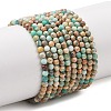 Natural Imperial Jasper Beads Strands G-L578-A13-2