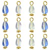 20Pcs 4 Style Glass Teardrop Pendants PALLOY-FS00072-1