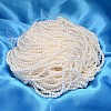 Round Shell Pearl Bead Strands X-BSHE-L011-2.5mm-A013-2