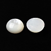 Natural White Shell Cabochons X-SSHEL-M022-01C-2
