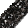 Natural Silver Obsidian Beads Strands G-Z119-A11-02-3