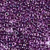 8/0 Glass Seed Beads SEED-A016-3mm-213-2