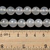 Natural White Agate Beads Strands G-G580-10mm-01-5