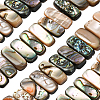 1 Strand Natural Paua Shell Beads Strands BSHE-PA0001-08-1