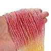 Transparent Painted Glass Beads Strands LS-DGLA-A034-T2mm-A07-2