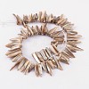 Natural Shell Beads Strands YPBB030-2