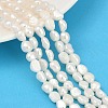 Natural Cultured Freshwater Pearl Beads Strands PEAR-P064-20A-04A-02-1