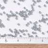 MIYUKI Delica Beads SEED-X0054-DB1589-4